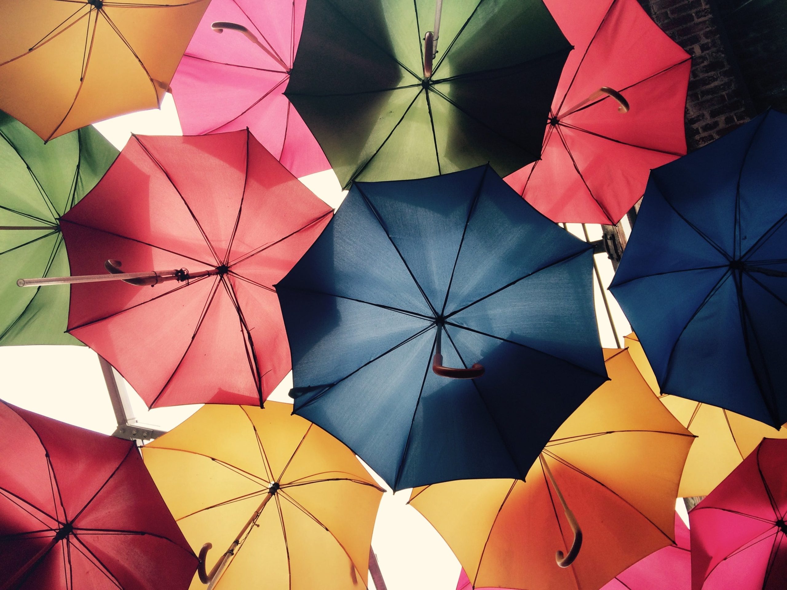 Redefining Risk: The Insurtech Revolution